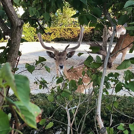 Pitstop Guest house 3*